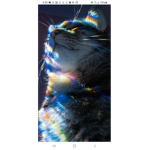 The light shines through
