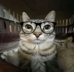 بنات كيوت فقط للبنات Group Thumbnail