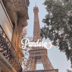 pandorq