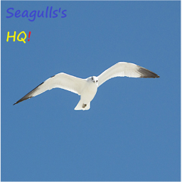 Seagulls United HQ