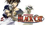 BLACK CAT LOVER