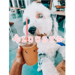 -C L O U D Y S-