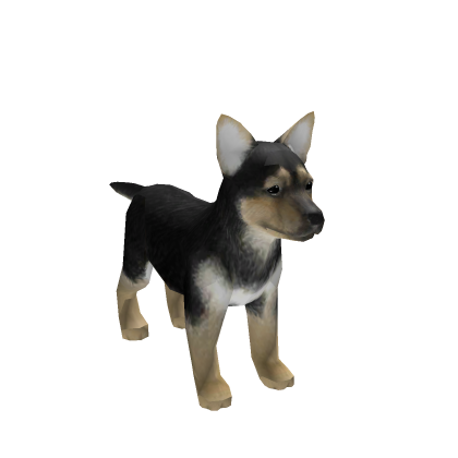 German Shepherd Puppy