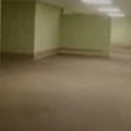 The backrooms