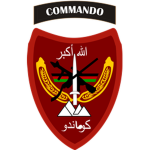 - A M F - Afghan Military Forces