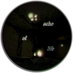 Echo of Life