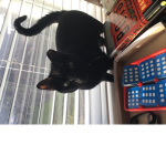 Sammy@the