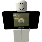 Chubbb Group!