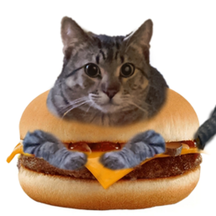 Meow Meow Games! avatar