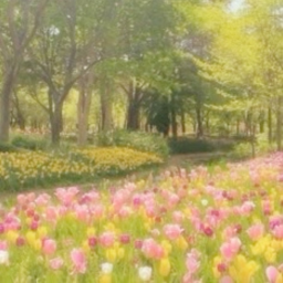 ⋆˚✿˖°