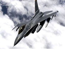 NPC Attack