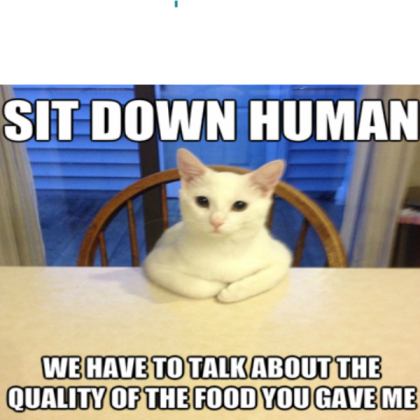 cat meme Roblox decal