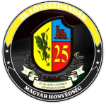 25.LVD | 25. Lövészdandár