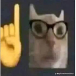catssssssssz