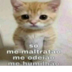 NAY LINDA