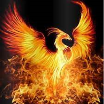 dragon iland