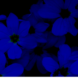 ɪꜱɴ’ᴛ