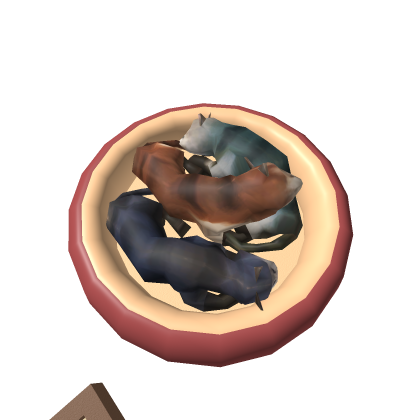 cat beds