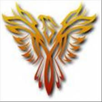 The Blazing Hawks