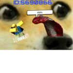 dog Hisk
