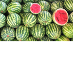 Watermelon/Muffin Gang