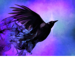 RavenXYZ Gaming