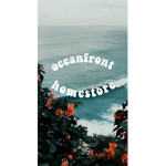 oceanfront homestore