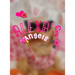 -Alexa’s angels-
