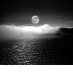 Moony's