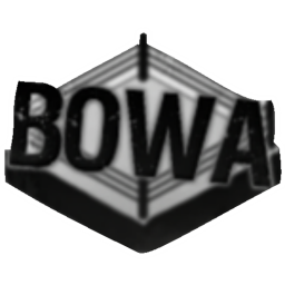 BOWA Network Arena Christmas Update