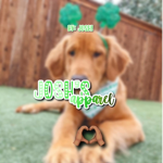 - Josh’s apparel -