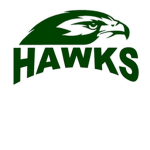 Lake Hawks Baseball