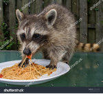 The Bowl of Spaghettios