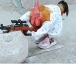 Pedro bobux