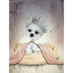 princess puppy squad