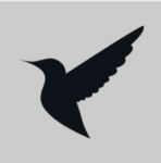 Bird Developments