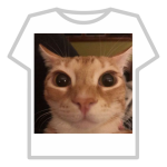 gato fei demais