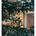SeasonalDays