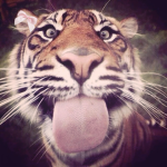 aftergl0w•.*