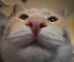 ,1337