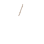 Cult of stick