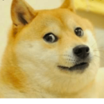 Doge Dudes Clan