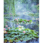 The Turtle's Den