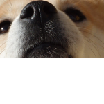 <()>