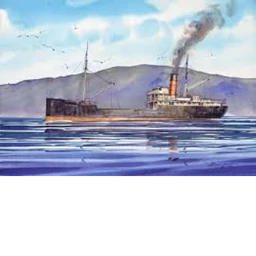 The Sinking Of S.S Venture icon