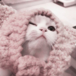 Cᴀɴᴅʏ Sǫᴜɪᴅ