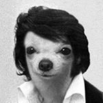 ✧✧Oscar Followers✧✧