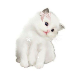 ♡