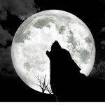Moon Wolf Nation