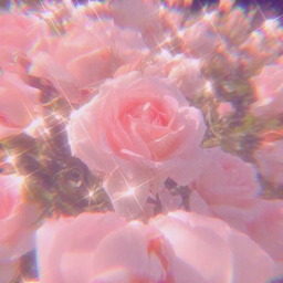 𝓜𝓪𝓴𝓮
